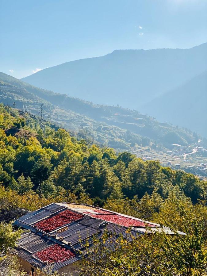 ホテル The Postcard Dewa, Thimphu, Bhutan エクステリア 写真